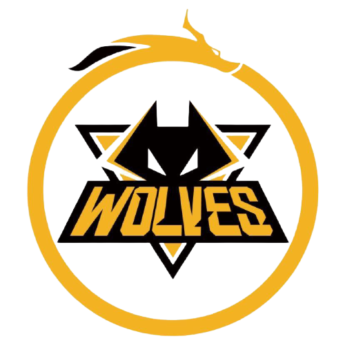 的模式正成 的模式正成